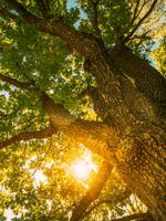 Purpose-driven M&A: Why CapEQ is leading the charge image