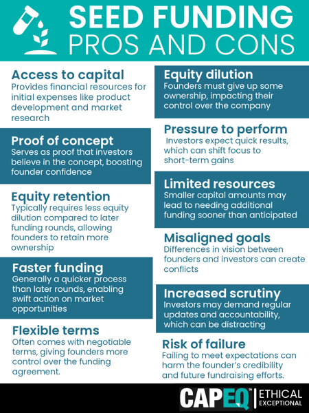 Infographic - types of capital seed