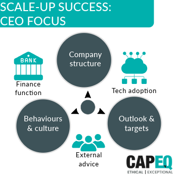 Insights scale up for exit