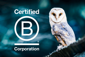 Owl and B-Corp logo to illustrate CapEQ's status as highest scoring B Corp M&A advisor in UK