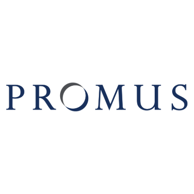 Promus Equity Partners logo - Chicago private investment firm and AMEI Holdings  owner since 2013
