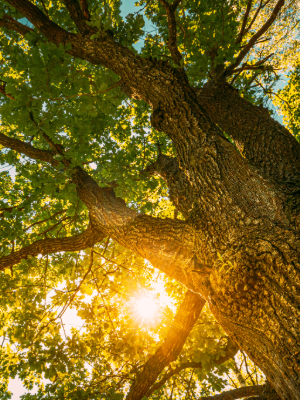 Purpose-driven M&A: Why CapEQ is leading the charge image