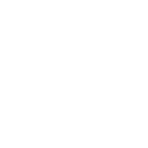 Ecologi transparent logo