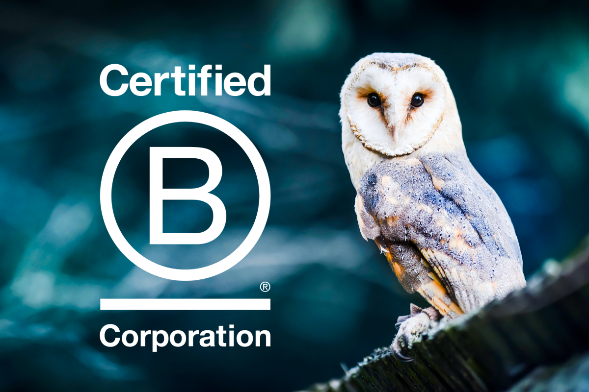 Owl and B-Corp logo to illustrate CapEQ's status as highest scoring B Corp M&A advisor in UK