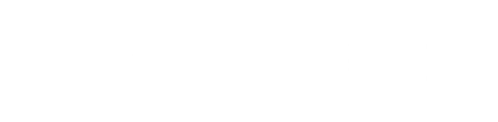 Govtech Solutions logo | CapEQ